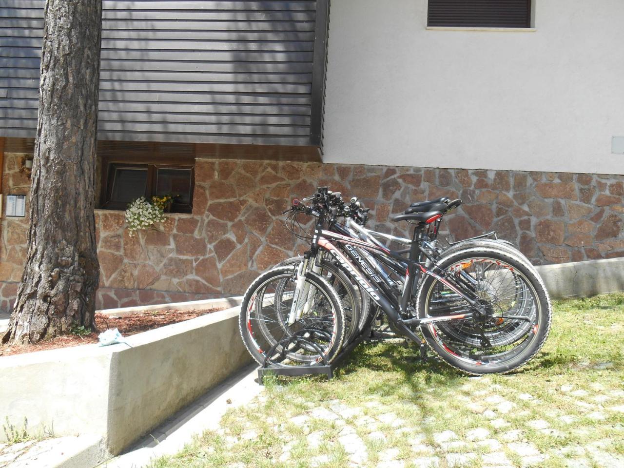 Vila Plamenac Divcibare Exterior photo